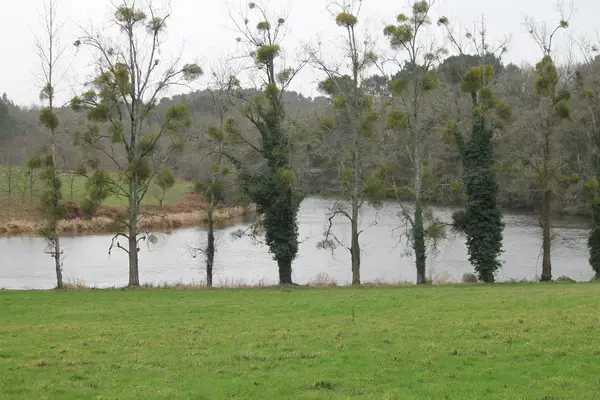 Isolation Extérieure Thermique Pro Isolation thermique extérieure Muzillac